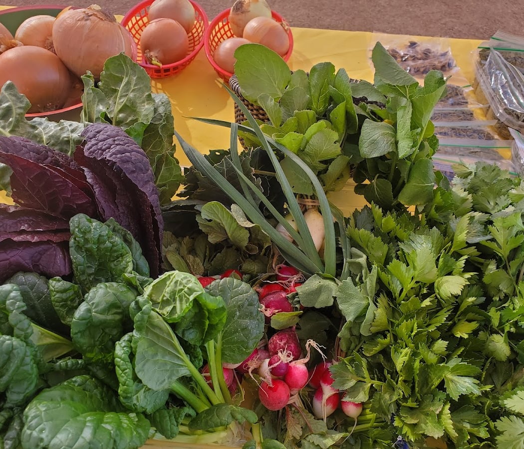 Spaces of Opportunity/Farmers’ Market 1