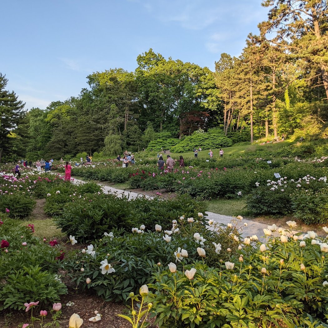 U-M Student Nature Therapy Group 3
