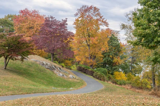 Cunningham Park 1