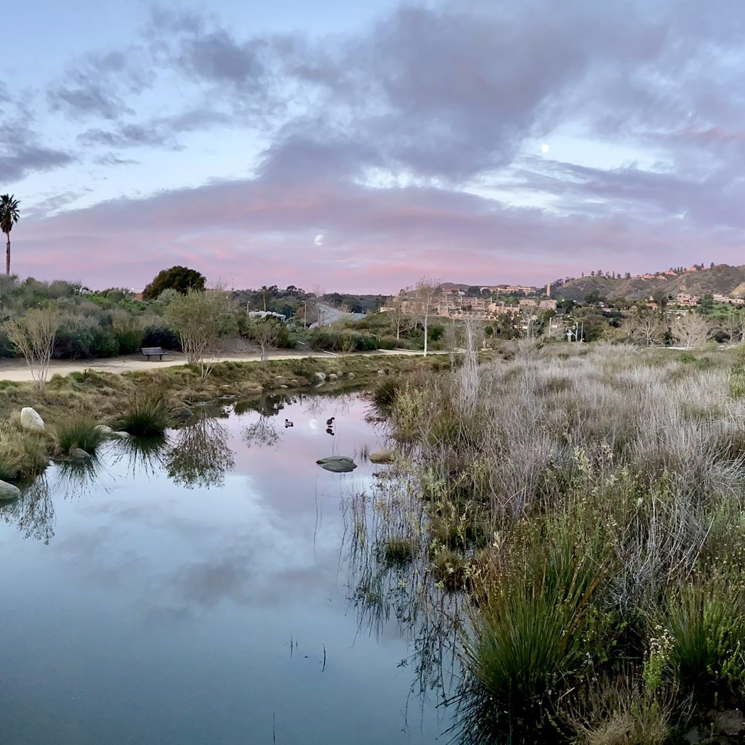Legacy Park 1