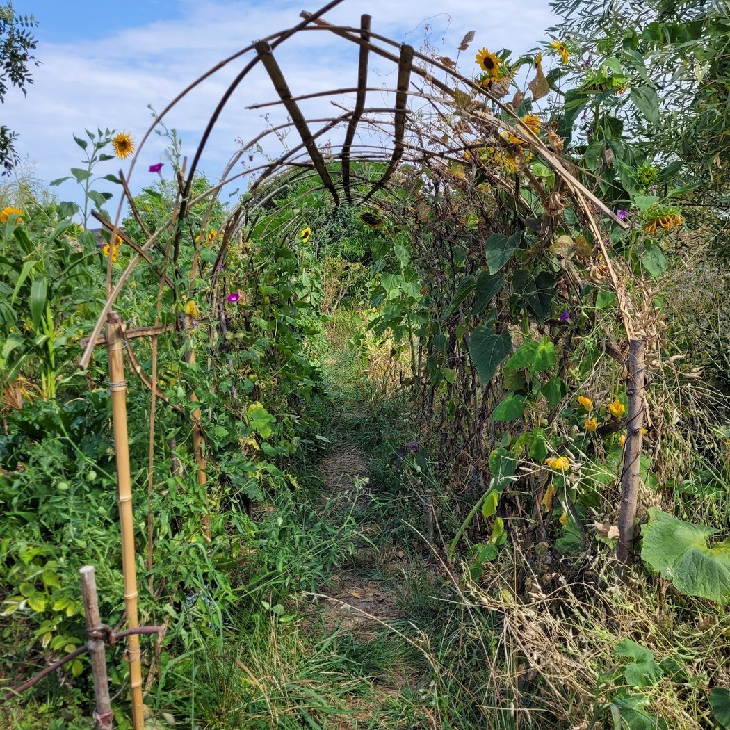 Atelier au jardin de l'Arrosoir 1