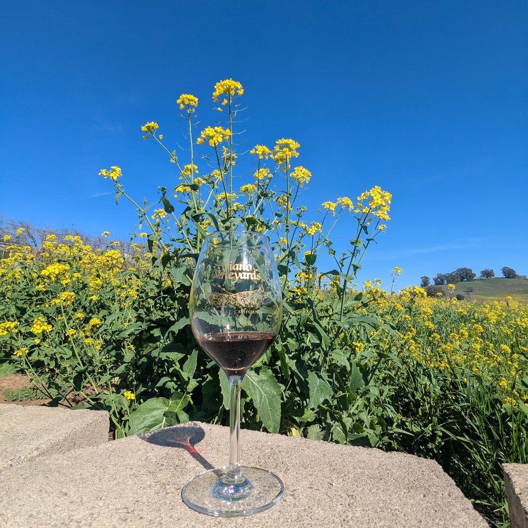 Contra Costa Wine Growers Trolley Event 1