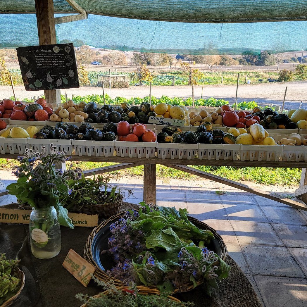Green String Farm 1