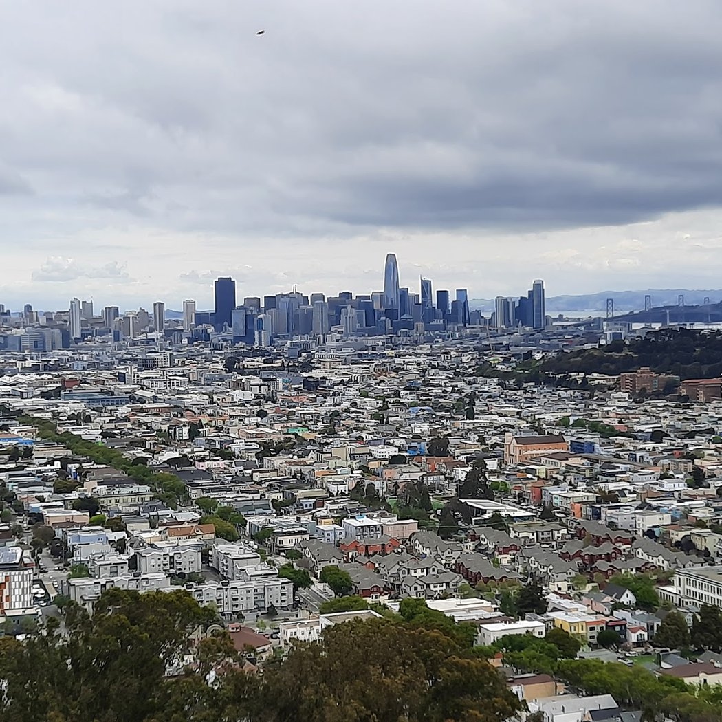 Bernal Heights Dog Play Area 2