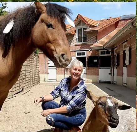 Association NaturAnimale : stages/ateliers enfants et adultes en Yvelines à Maisons-Laffitte 2