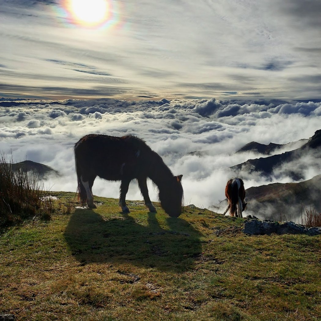 Mount Baigura 1
