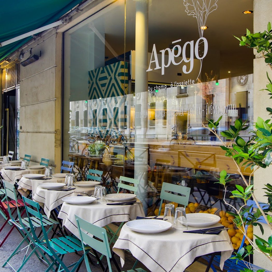 Apégo 2