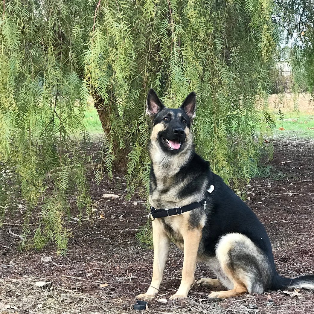 Apple Hill Park 3
