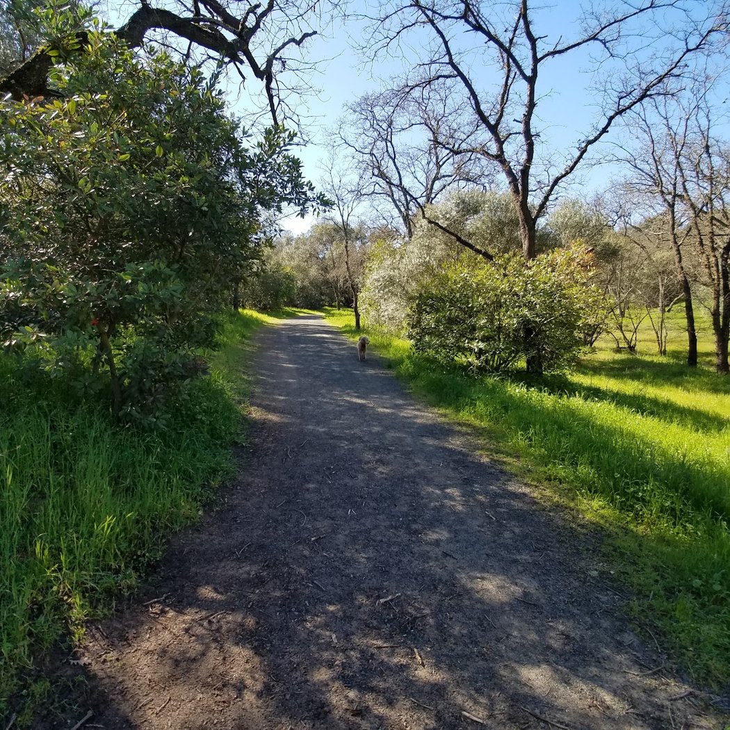 Paso Nogal Park 3