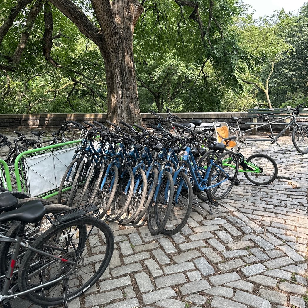 Bike Rent NYC- History of Natural Museum 2