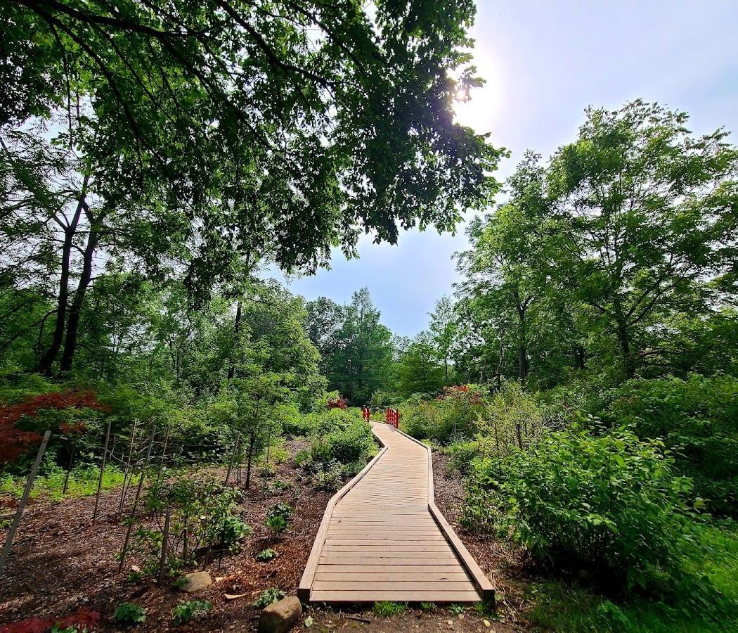 Acton Arboretum 1