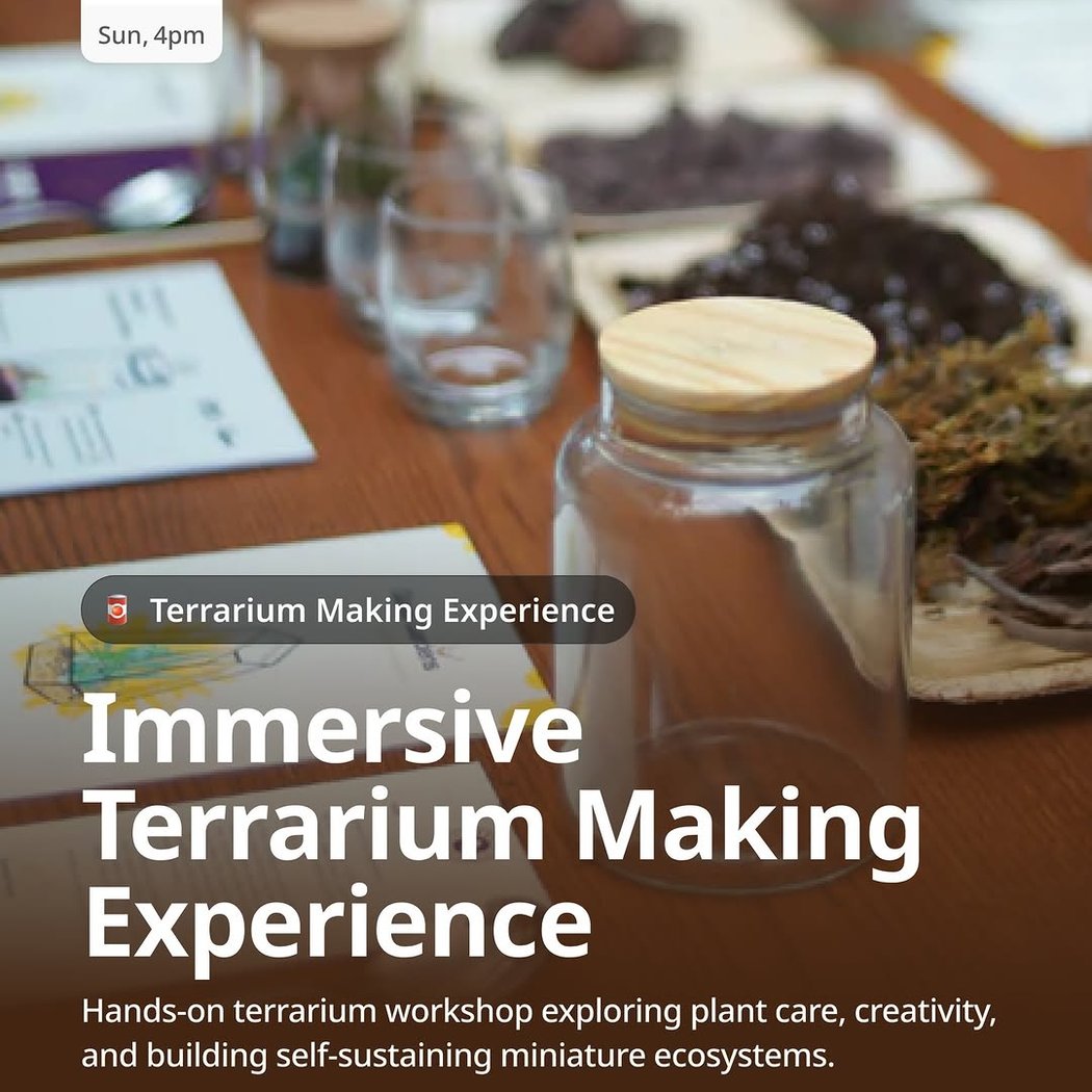 Immersive Terrarium Making Experience 1