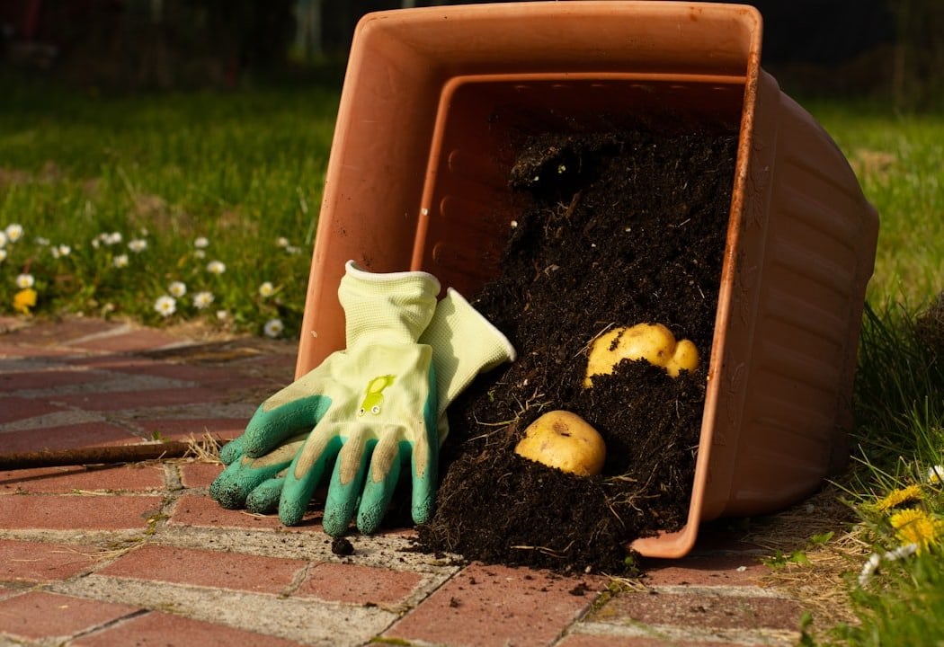 Composting Basics 1