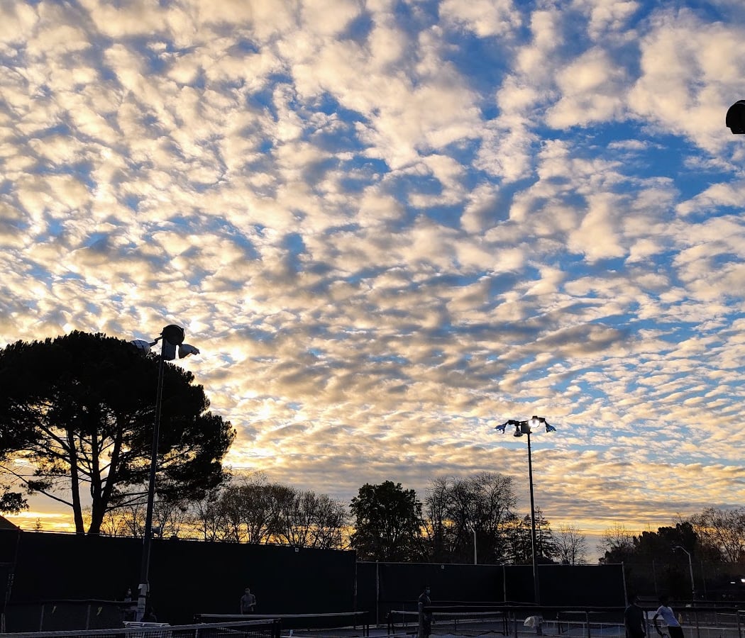 Magical Tennis 3