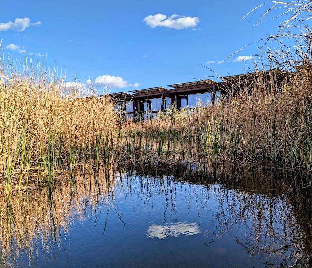 Guided Nature Walk at Rio Salado 1