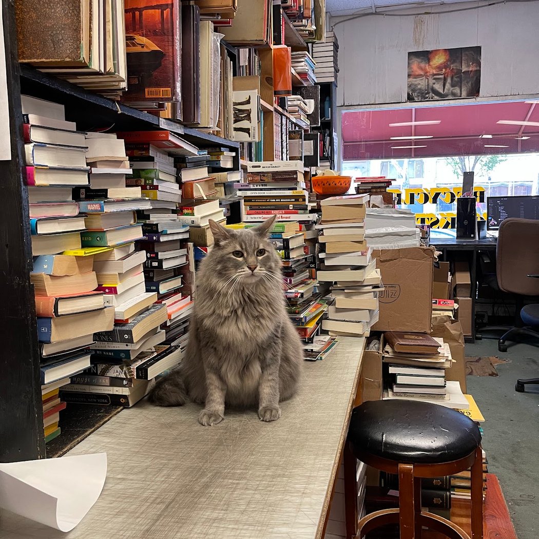 Recycle Bookstore 1