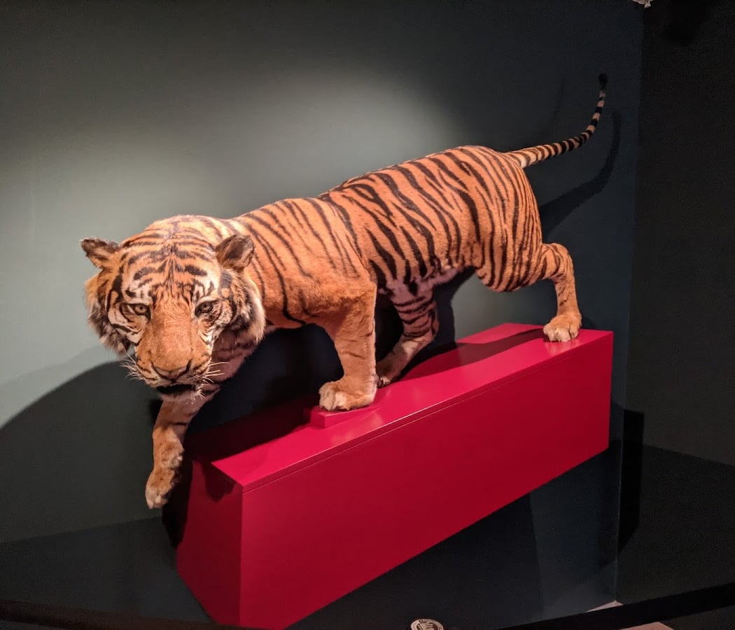 The Steinhardt Museum of Natural History 3