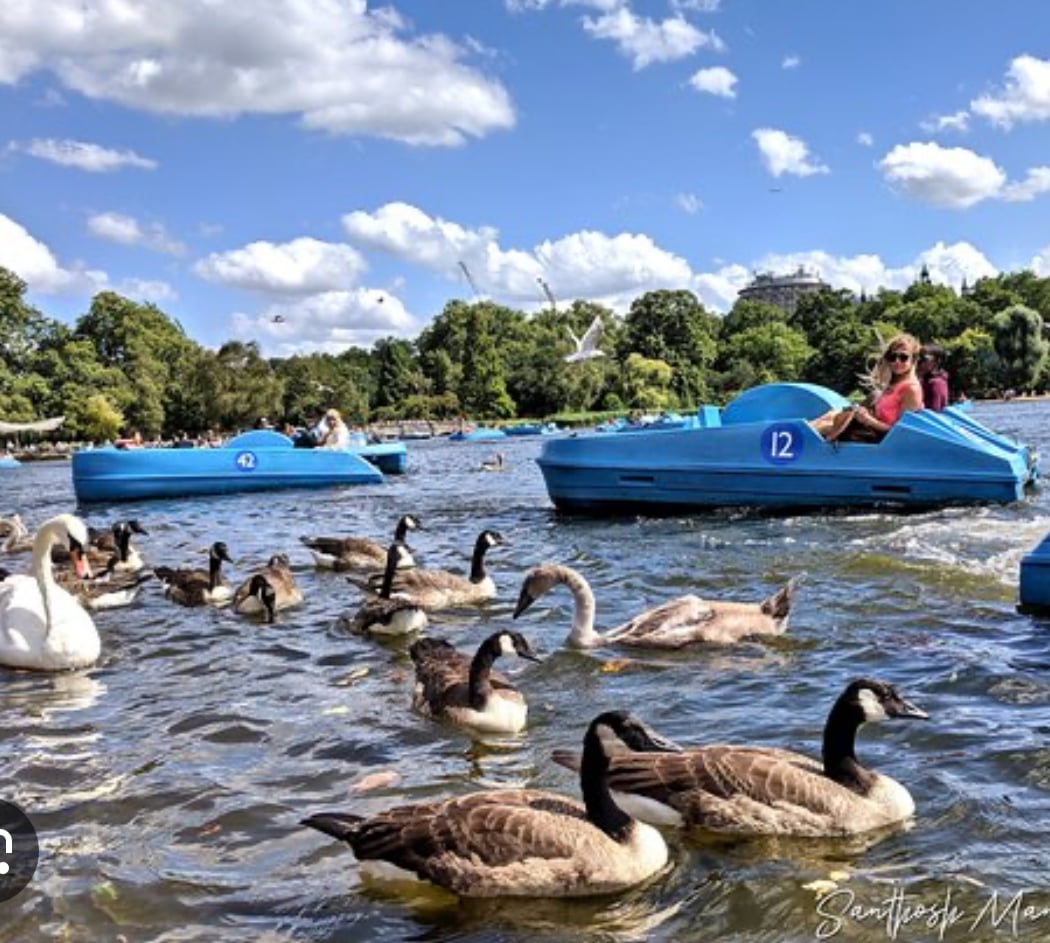 Hyde Park boating 1