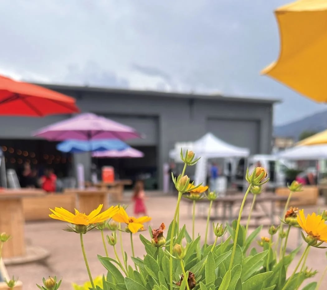 Colorado Farm & Art Market 3