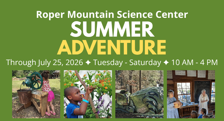 Summer Adventure 1