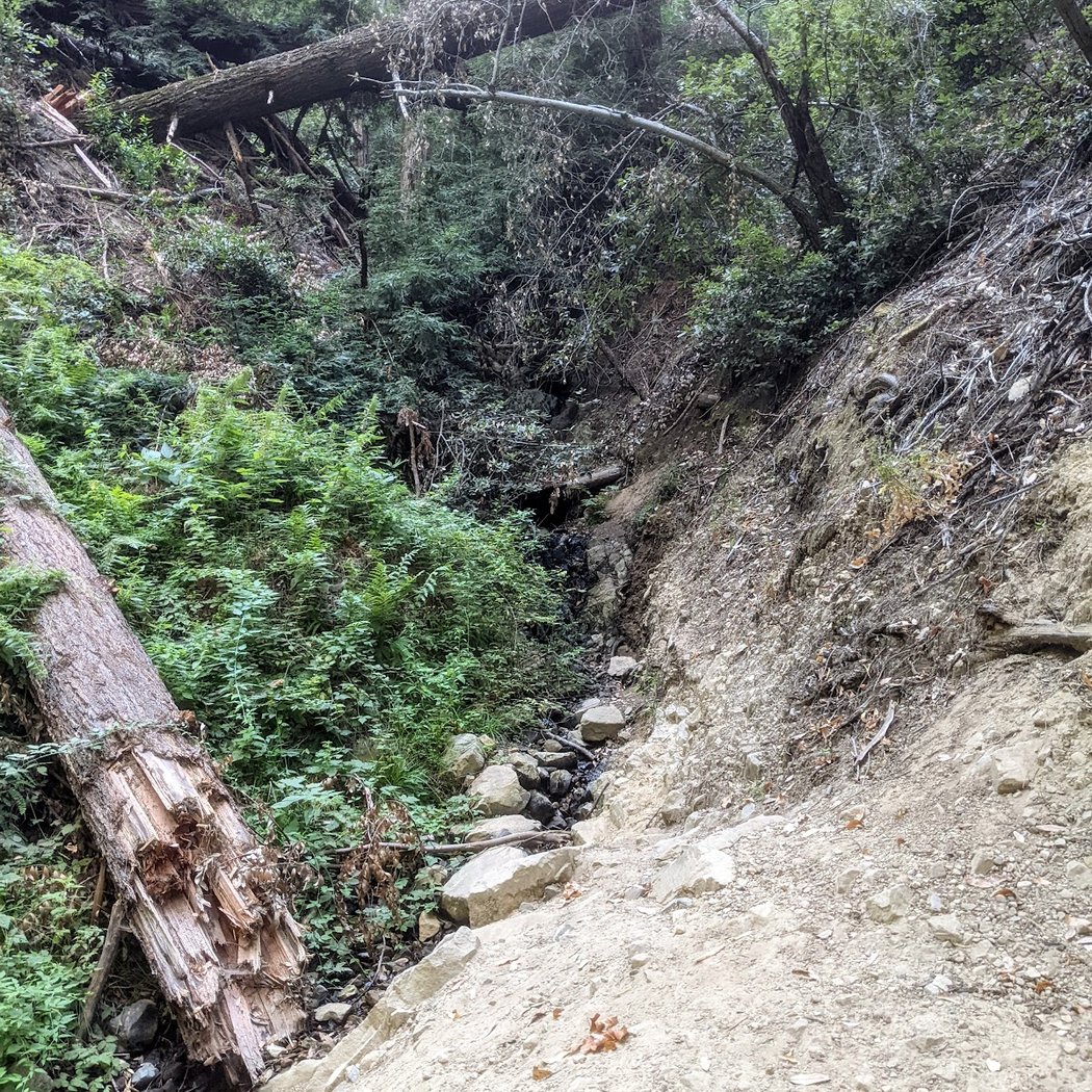 John Nicholas Trail 2