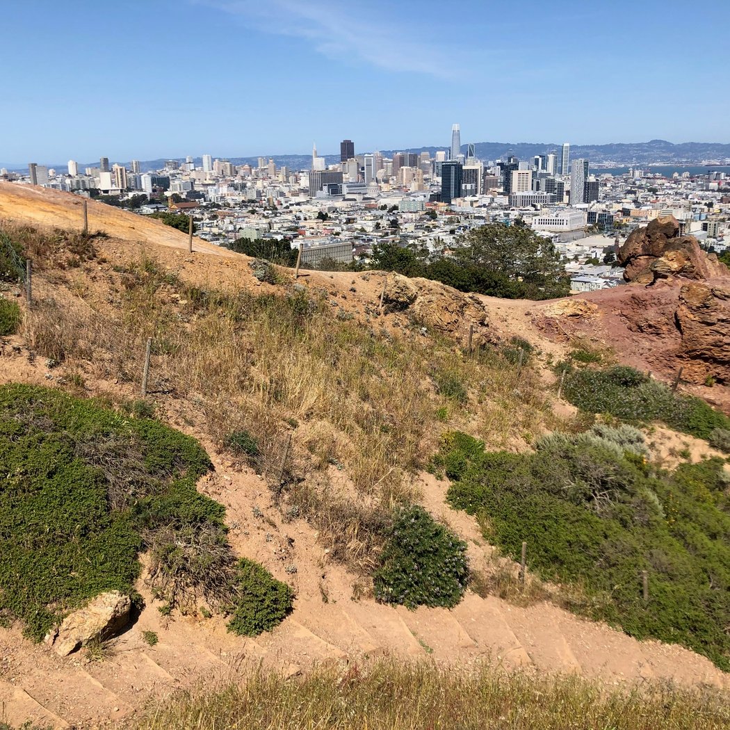 Corona Heights Park 1