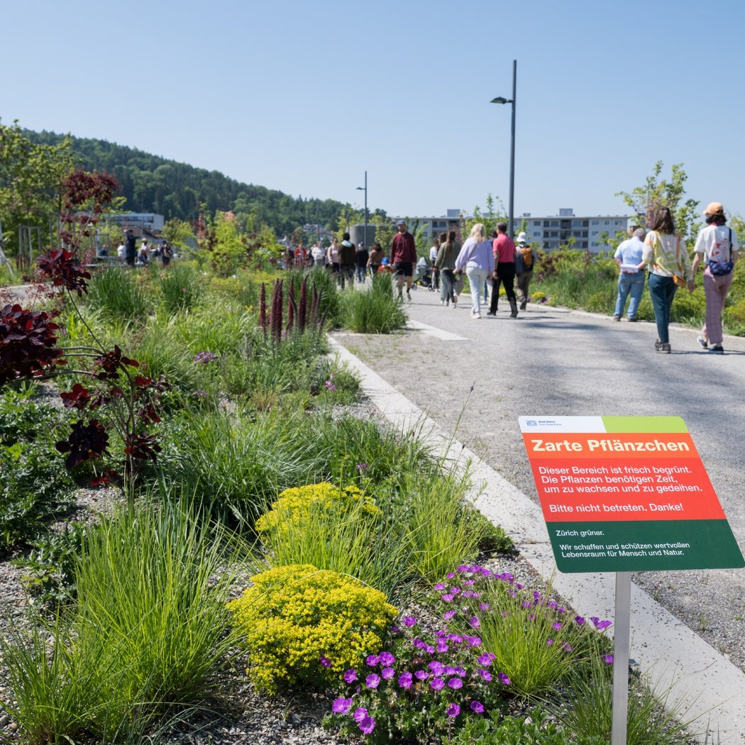 Guided tour of the Ueberlandpark: A green oasis on the motorway