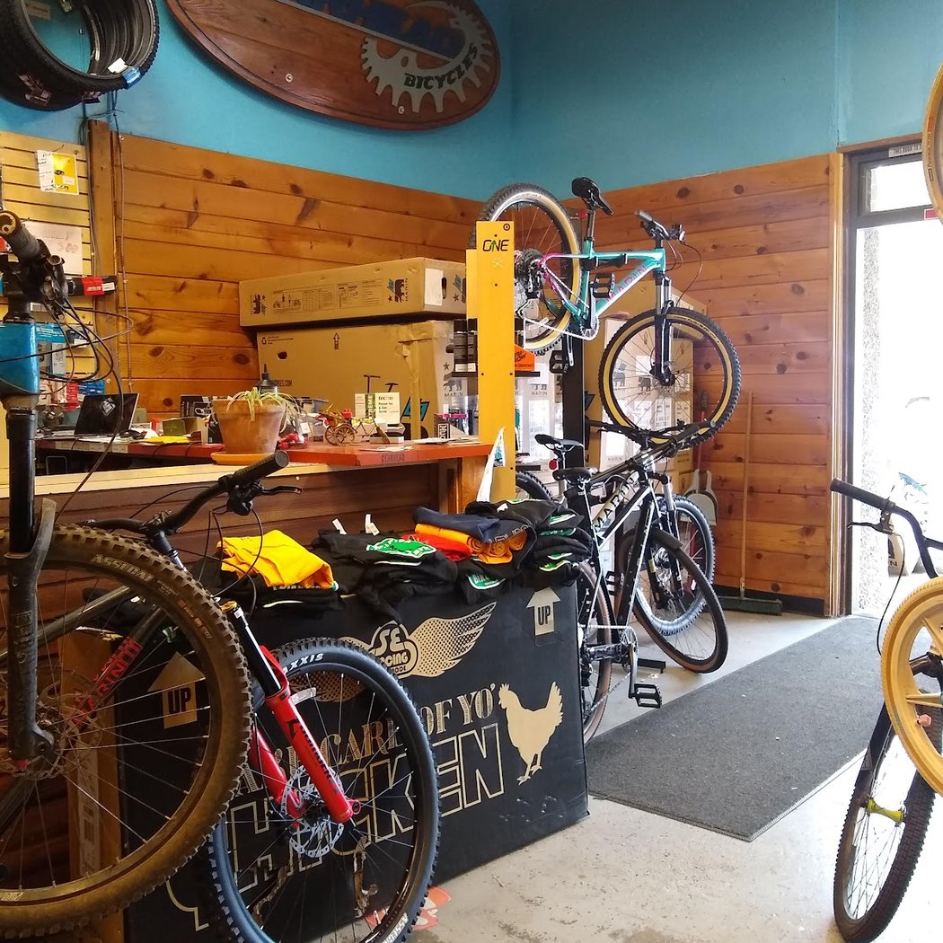 Gearhead Bicycles 1