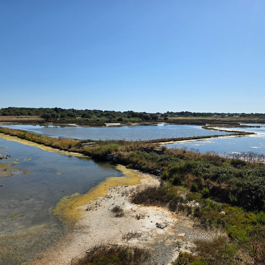 Les marais de Müllembourg, un réservoir de vie 2