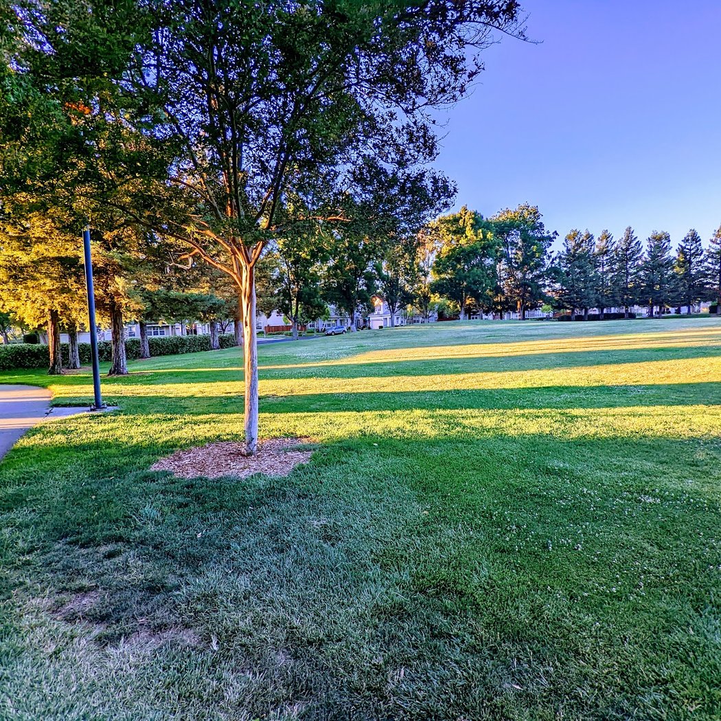 Amaral Park 2
