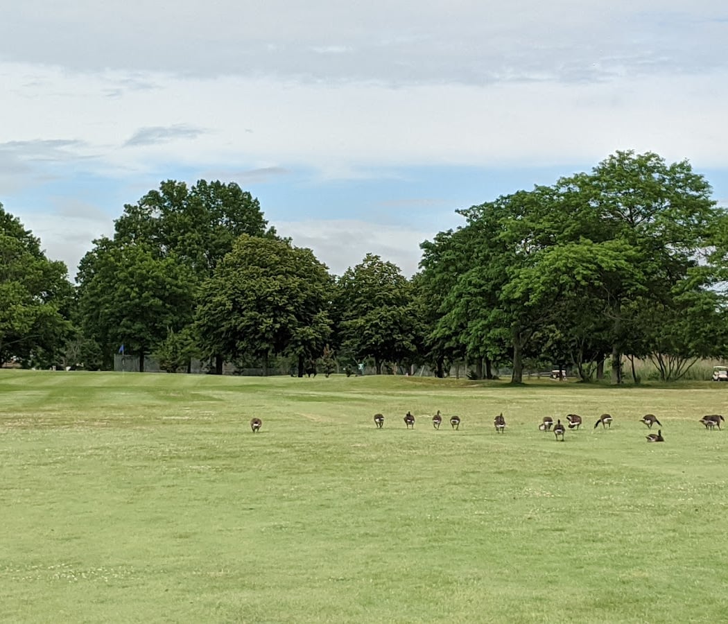 North Woodmere Golf Course 2