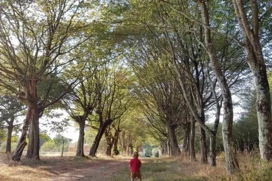 Parc de la Mevellière 2