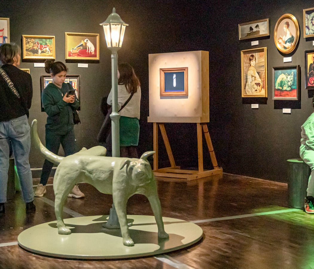 Expo « Chiens et chats » 2