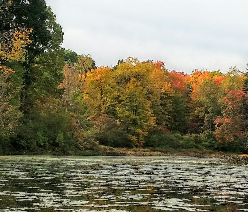 Fall Colors by Canoe 2
