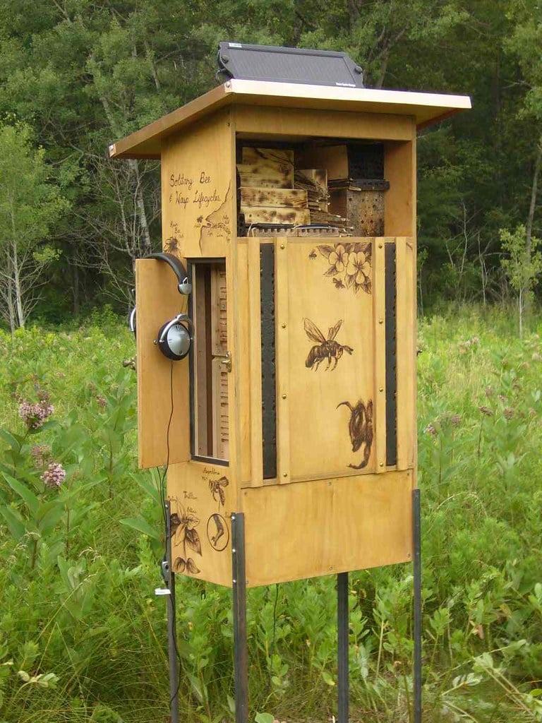 2026 Bee Fest 3