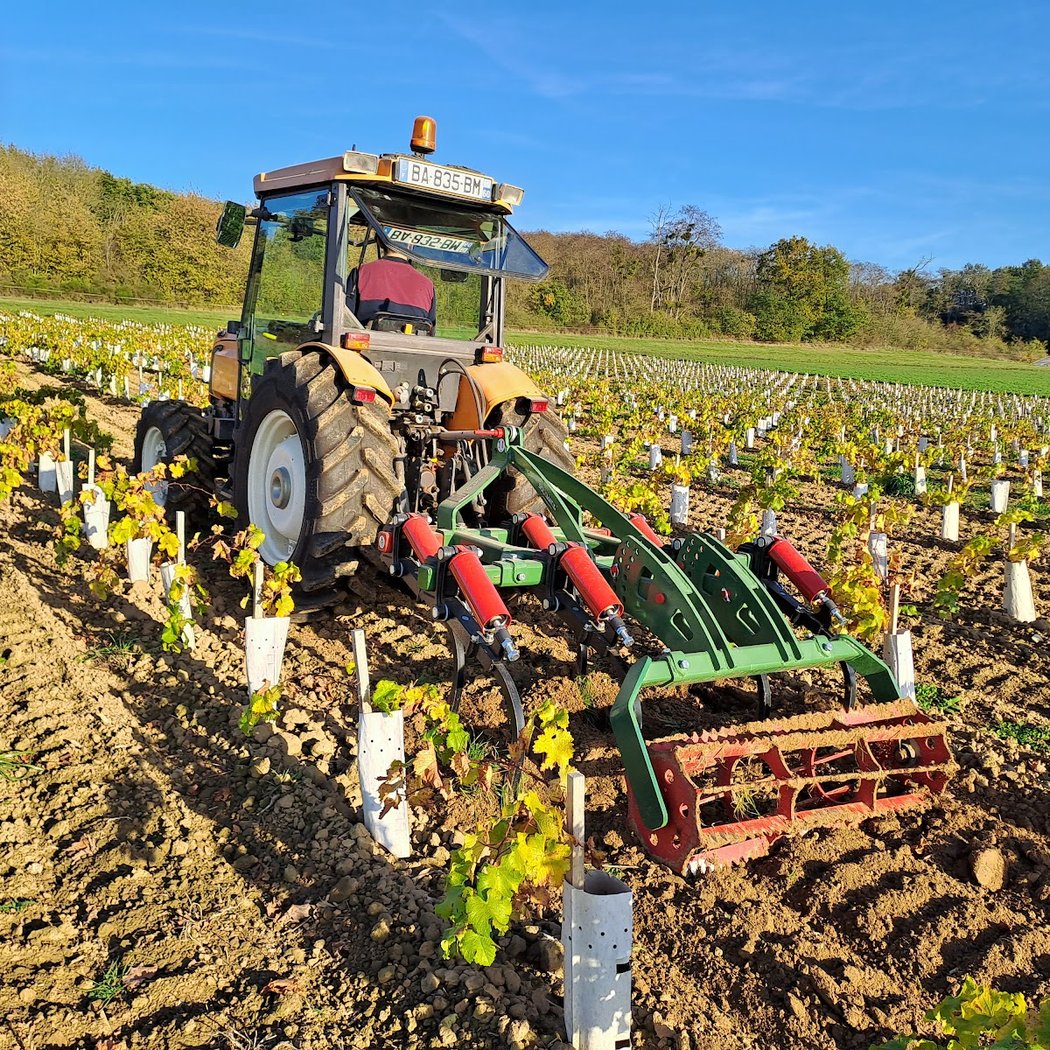 Le Vignoble de Montépilloy 3