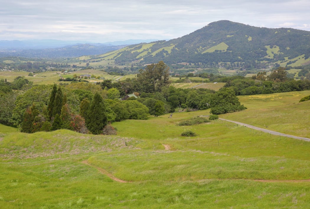 North Sonoma Mountain Regional Park 2