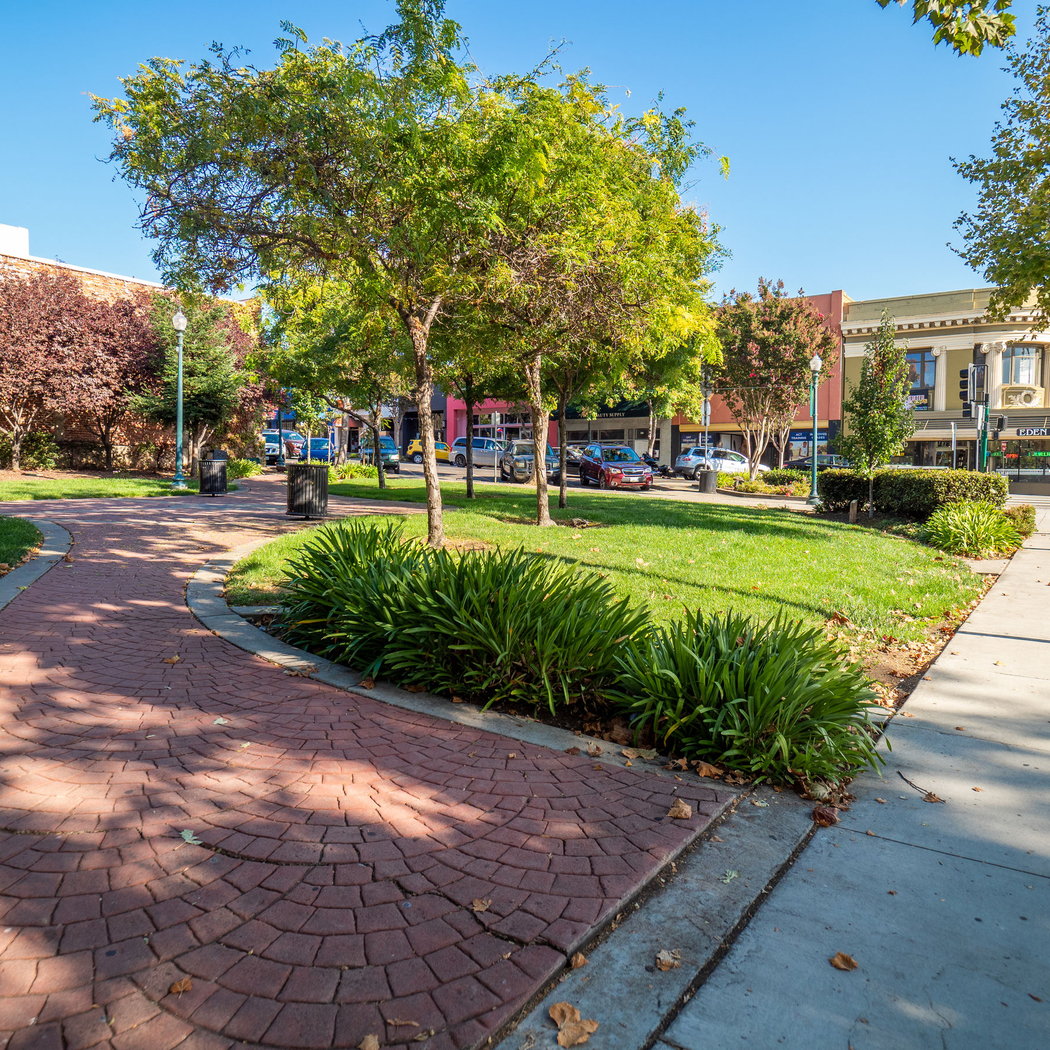 Newman Park 1