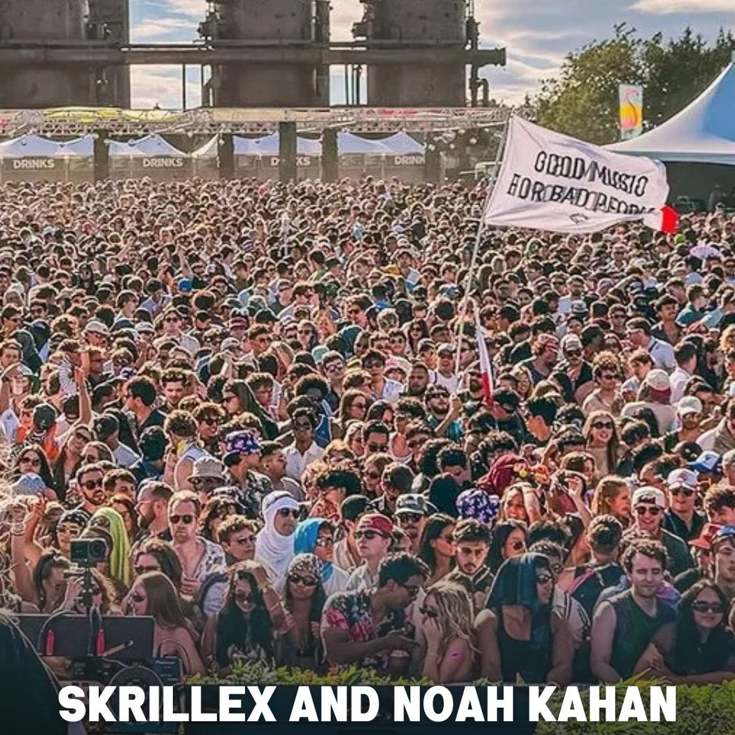 Skrillex performance 1