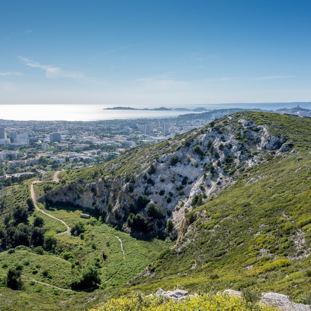 Parc public de la campagne berger 1