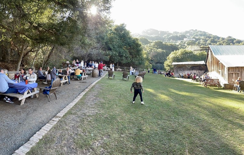 Picchetti Winery 3