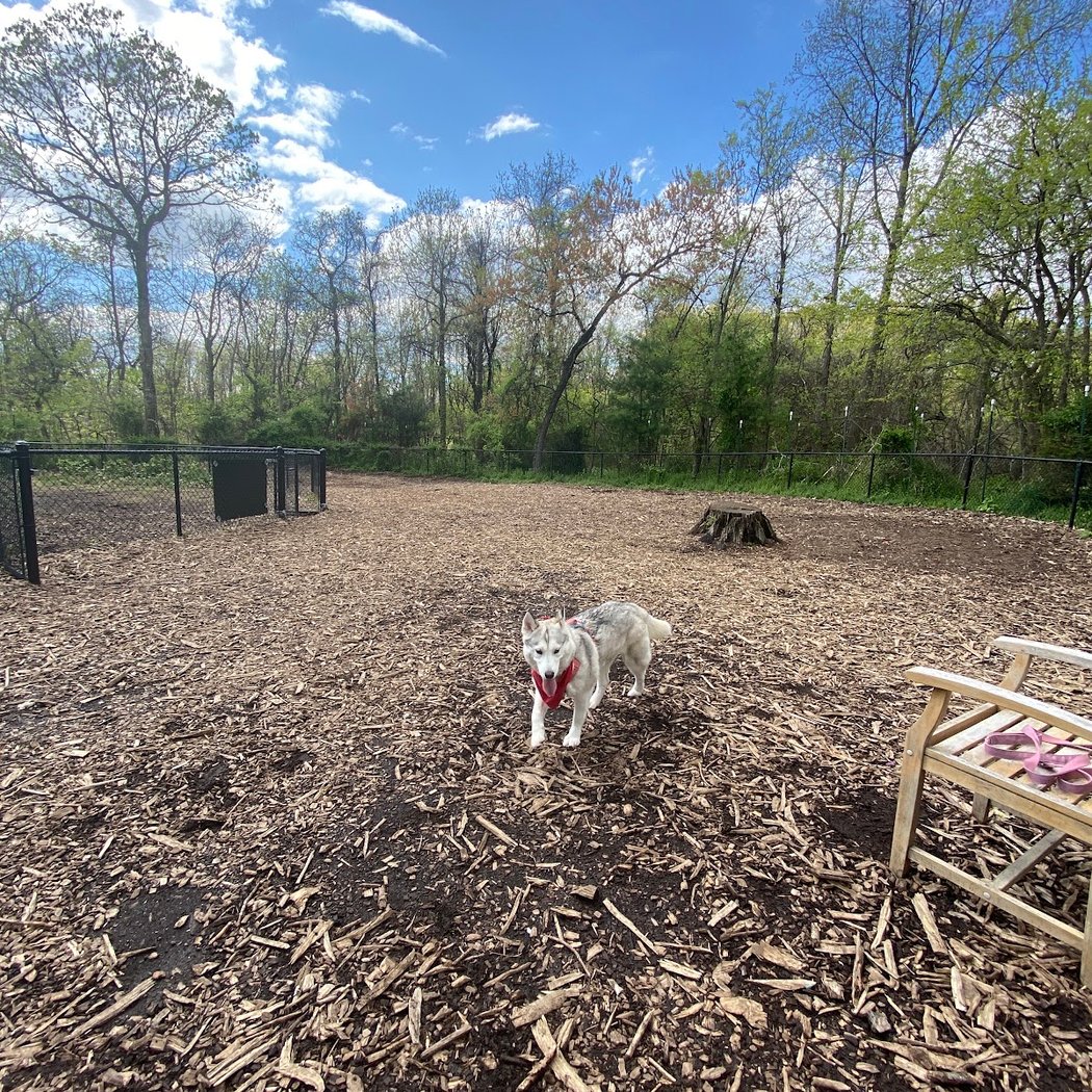 Conference House Dog Park 1