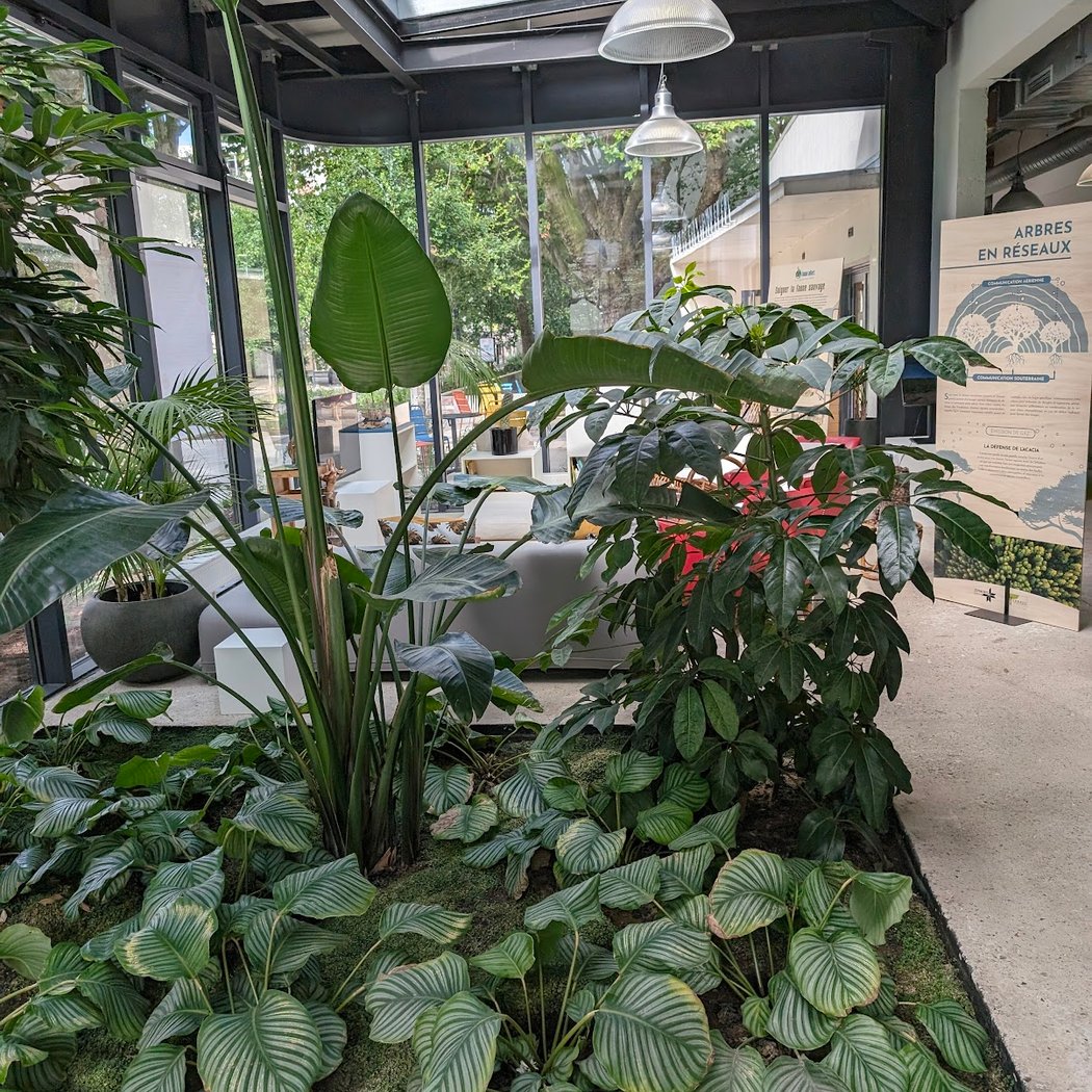 Exposition immersive \u00e0 la Maison de l'environnement : Parfums de nature 3