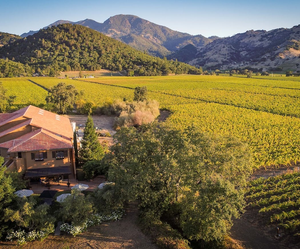 Annual Celebration of Bennett Lane Cabernet 2