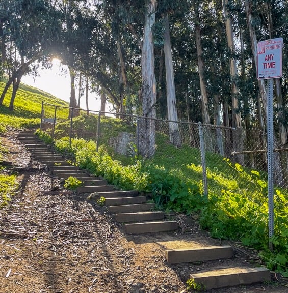Clark Kerr Fire Trail 3