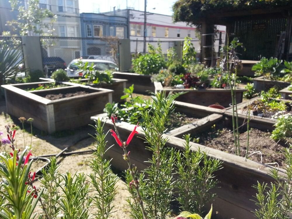 Alioto Mini Park 1