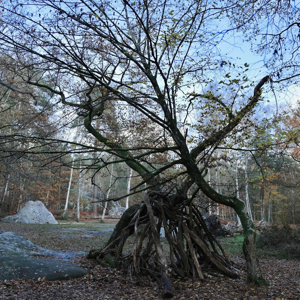 Gorges et Platières d'Apremont 4