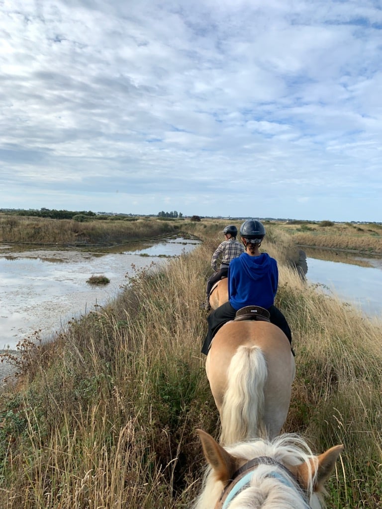 Les Chevaux De Congor 1