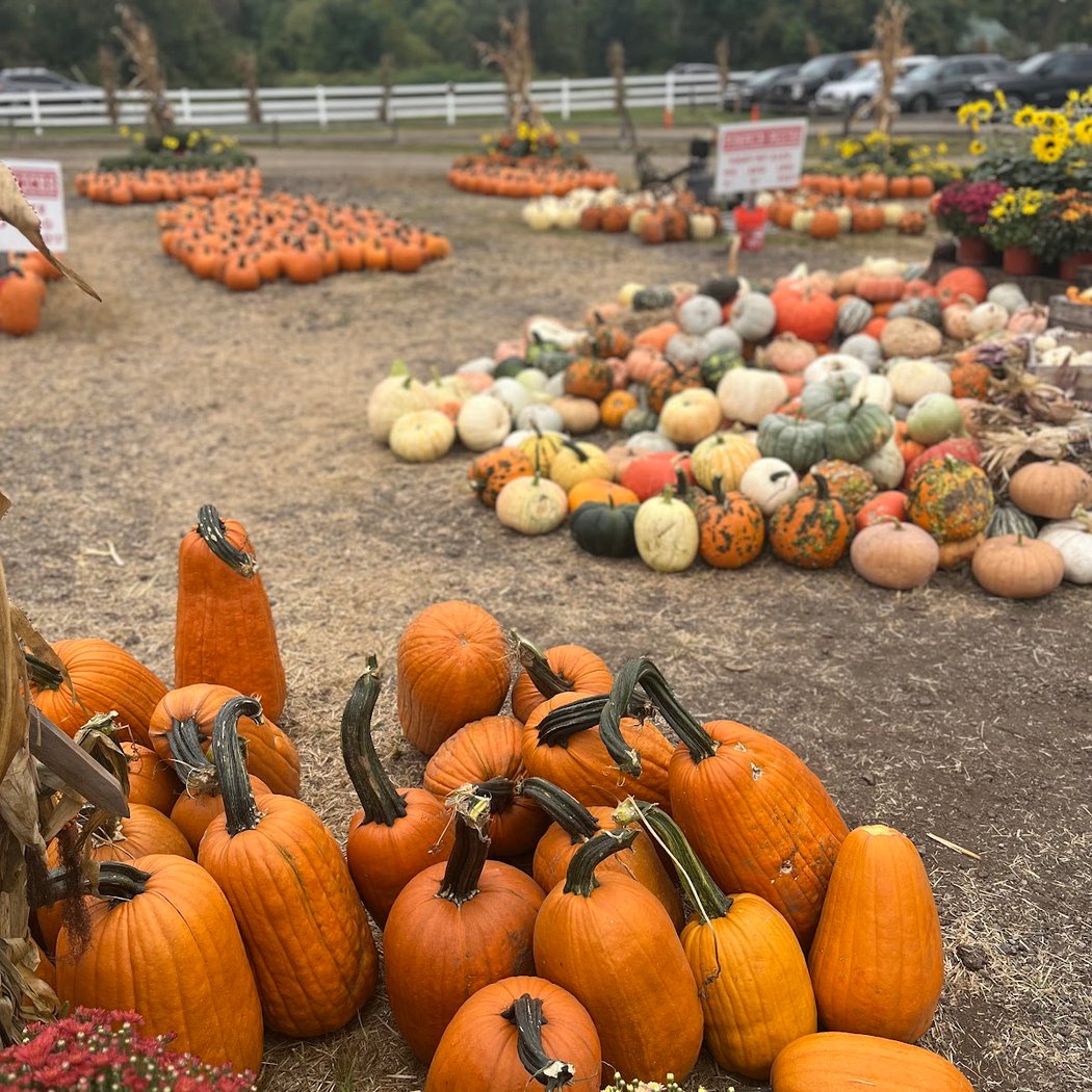 Three Cedars Farm 3