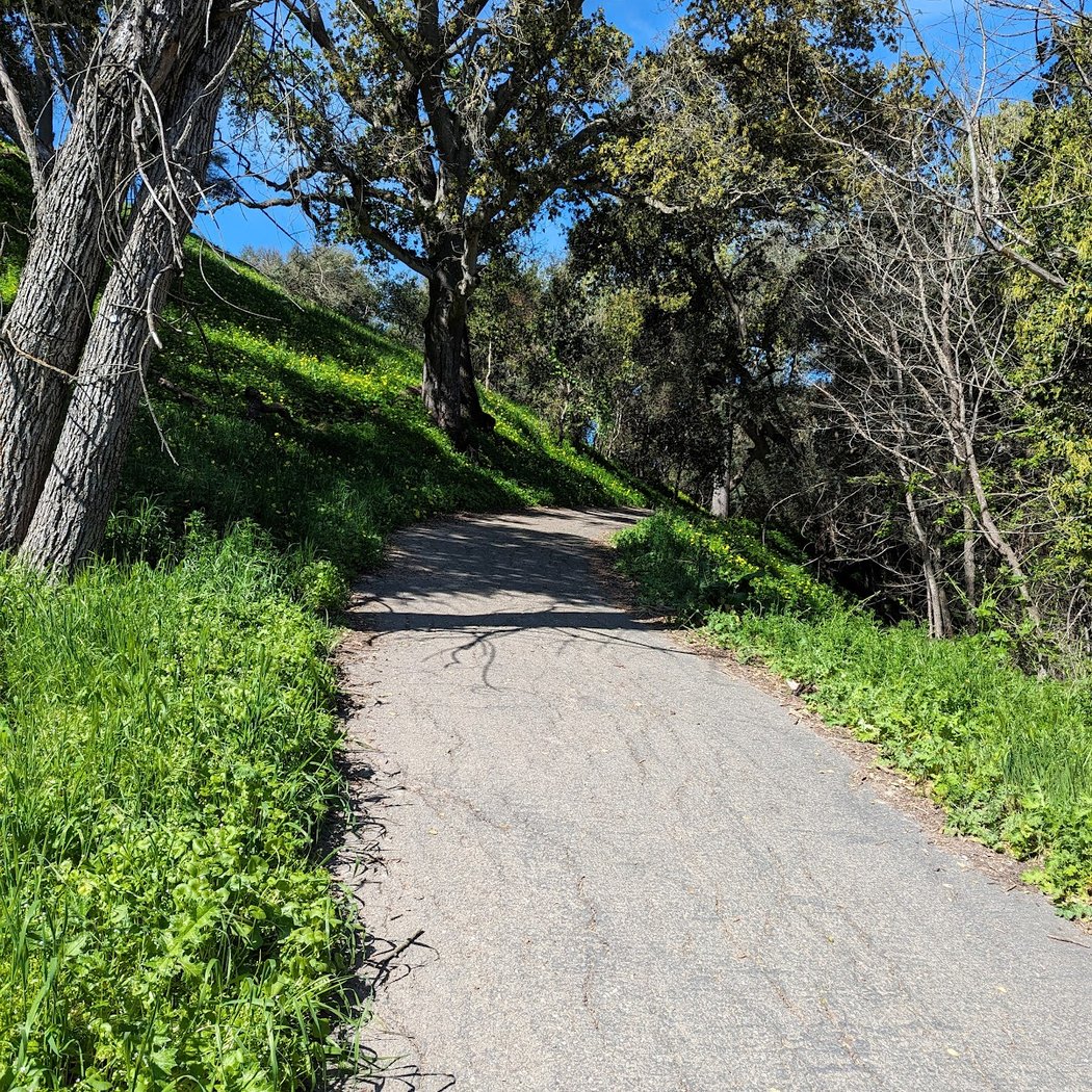 Trail Head, Sabercat Creek Trail 3